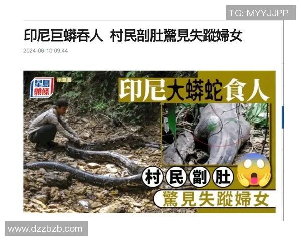 惊悚!长巨蟒将印尼女子吞噬 丈夫亲自解救却只发现遗体(印尼巨蟒吞人)